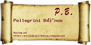Pellegrini Bános névjegykártya